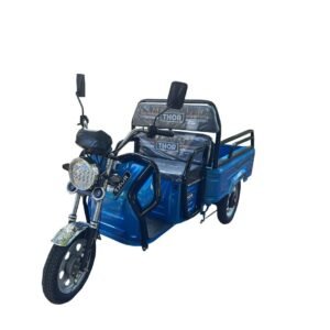 Triciclu electric 650W Thor CITY ECO blue sky fara permis 48V20Ah 25km/h TRANSPORT GRATUIT
