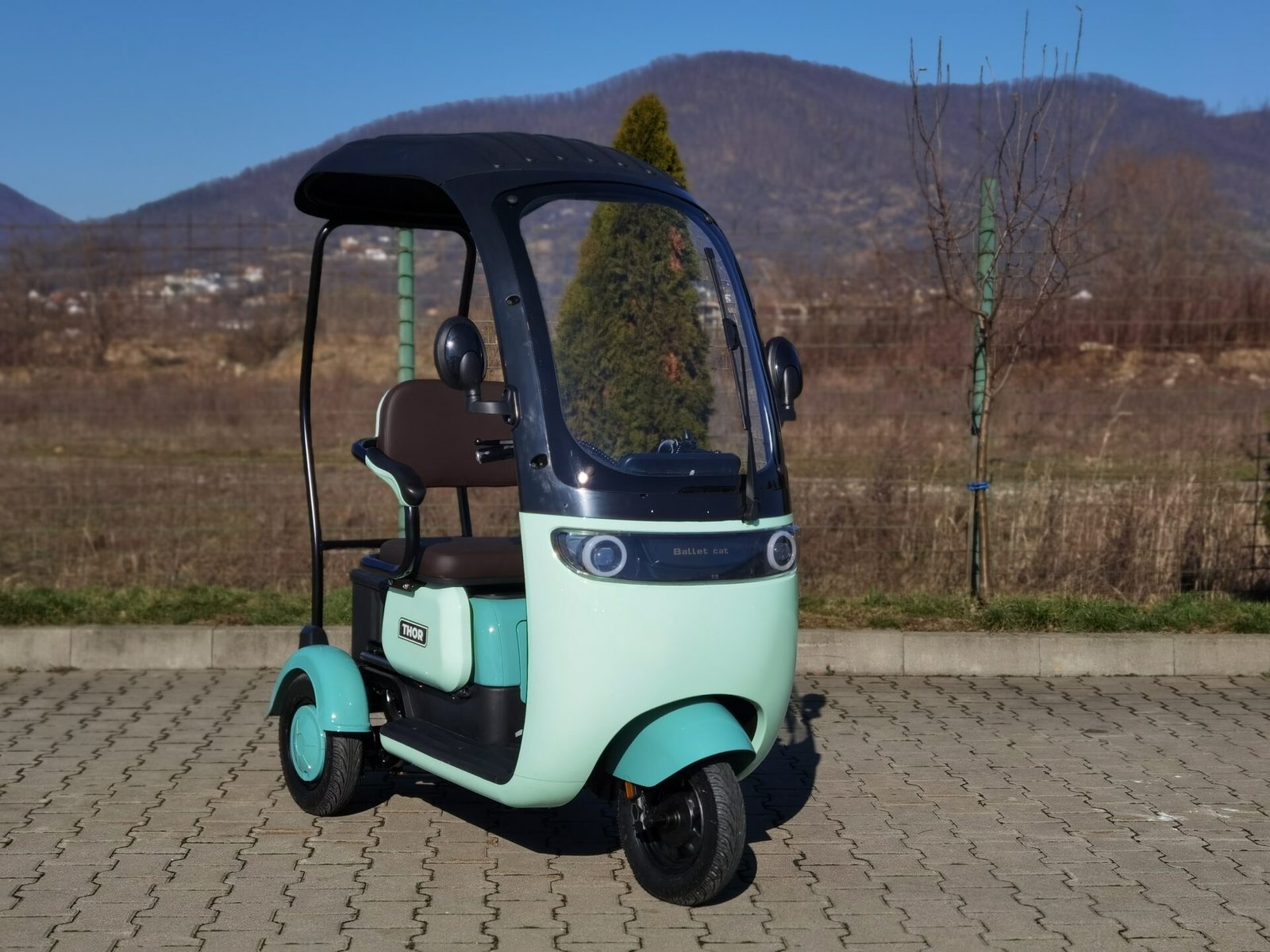 Triciclu electric 1000W Thor PANDA fara permis 60V20Ah 25km/h TRANSPORT GRATUIT - imagine 4