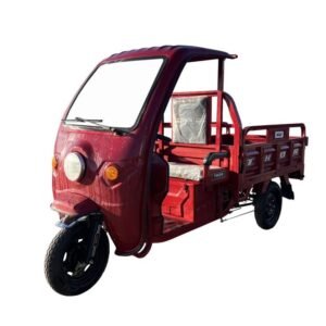 Triciclu electric 1000W Thor BUGGY fara permis 48V32Ah 25km/h TRANSPORT GRATUIT