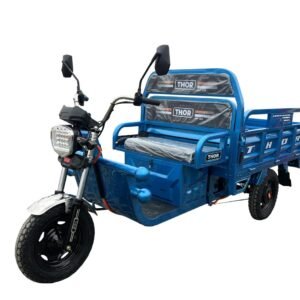 Triciclu electric 1000W Thor CITY ECO2 albastru fara permis 60V20Ah 25km/h TRANSPORT GRATUIT