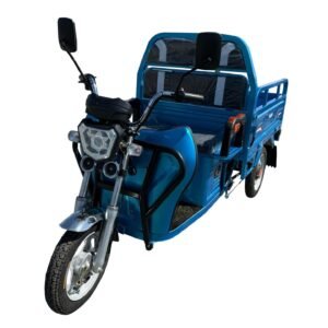 Triciclu electric 500W Thor MINI2 fara permis 48V32Ah 25km/h TRANSPORT GRATUIT