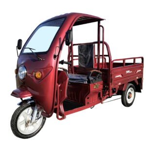 Triciclu electric 1200W Thor STAR Plus visiniu fara permis 60V45Ah 25km/h cu CIV inclus TRANSPORT GRATUIT