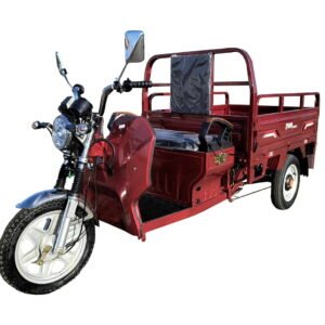 Triciclu electric 1200W Thor STAR visiniu fara permis 60V45Ah 25km/h cu CIV inclus TRANSPORT GRATUIT