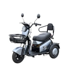 Triciclu electric 600W Thor TRIXY fara permis 48V20Ah 25km/h TRANSPORT GRATUIT