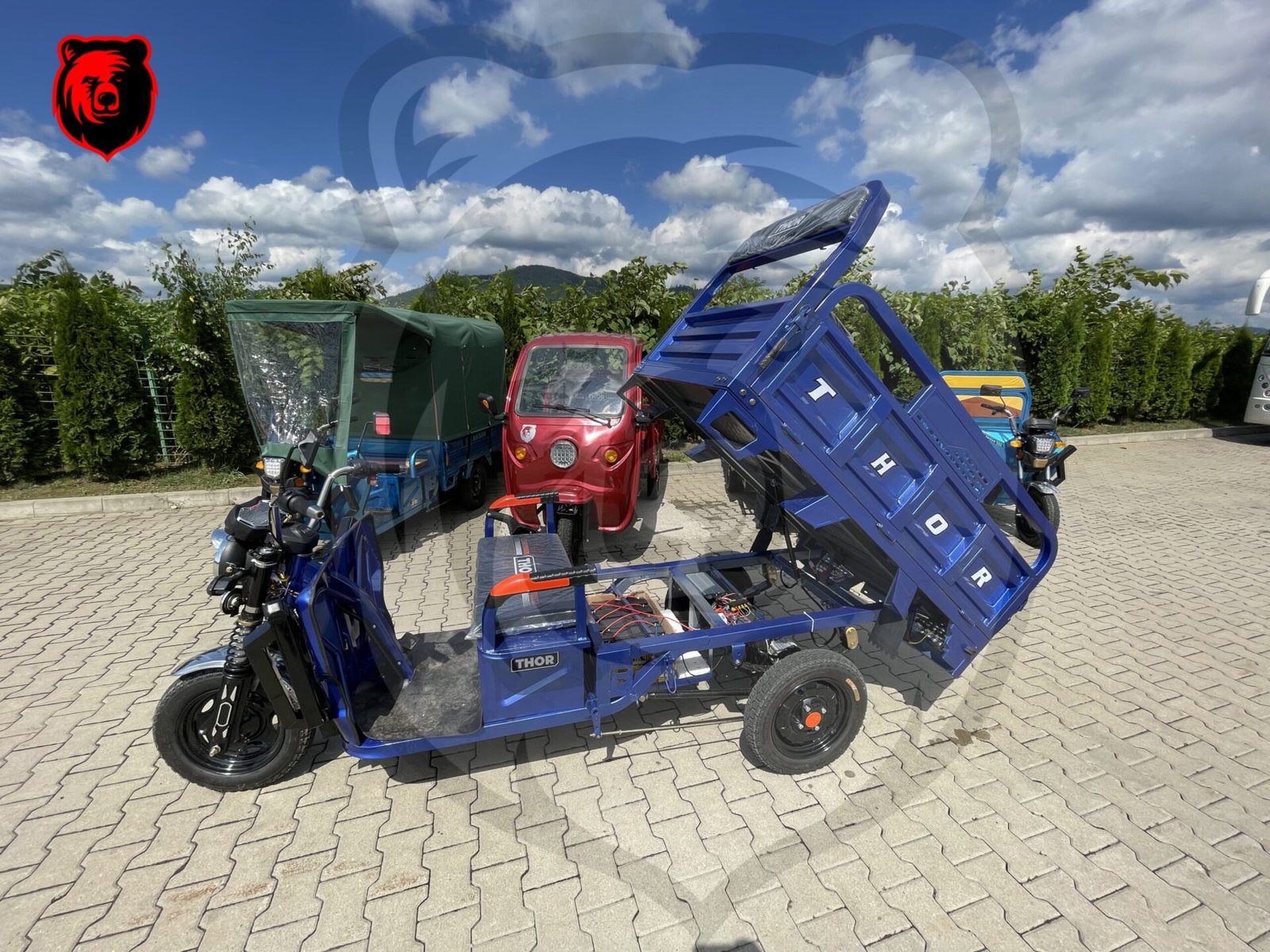 Triciclu electric 1000W Thor HOBBY fara permis 60V32Ah 25km/h TRANSPORT GRATUIT - imagine 3